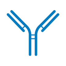 Antibody Development & Production