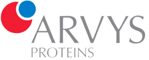 logo-arvys3